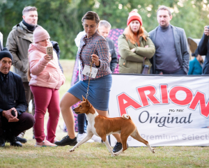 Cheetos became Interchampion